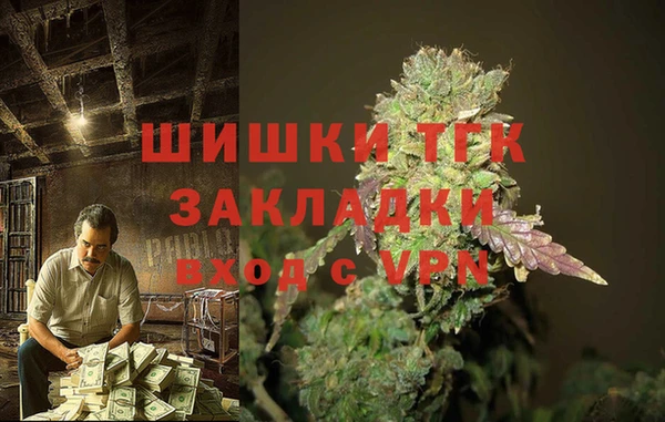 крисы Армянск